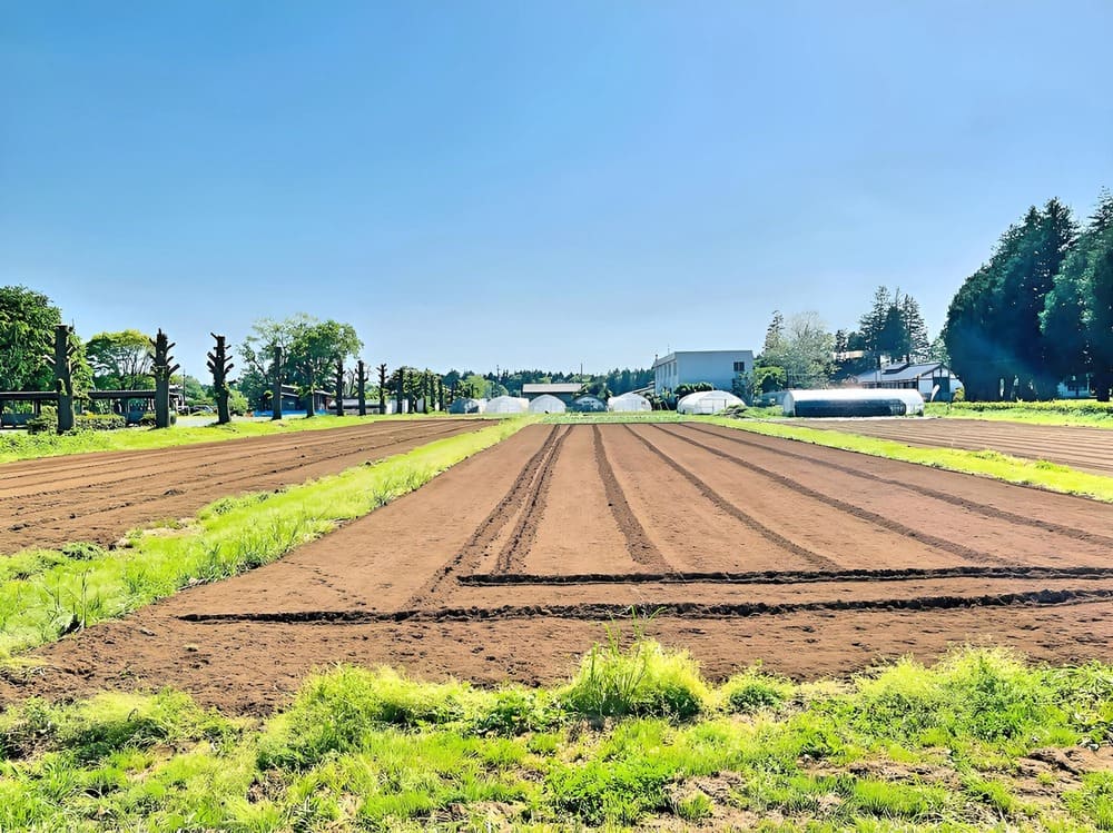 DSIドローン・ビジネススクール茨城 屋外訓練フィールド（茨城県水戸市鯉淵町・農地を活用した飛行訓練エリア）