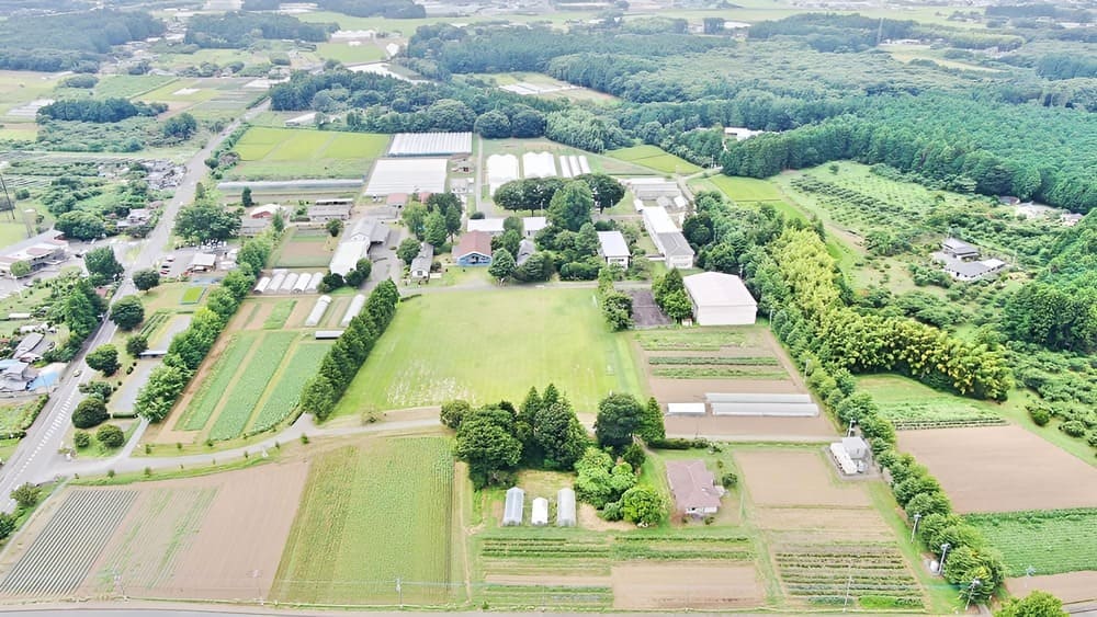 DSIドローン・ビジネススクール茨城 全景空撮（茨城県水戸市鯉淵町・広大な専用飛行フィールド）